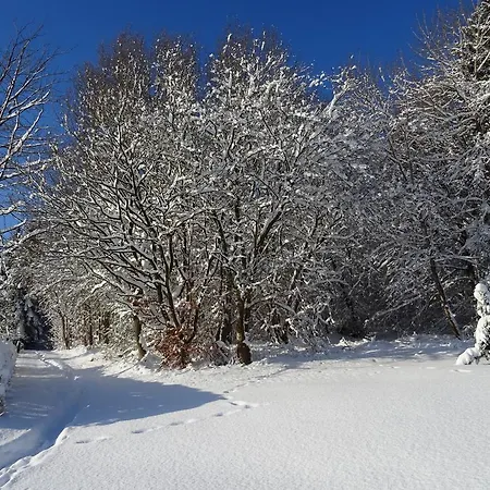 Deine-Eifel-Ferienwohnung Feusdorf Zewnętrze zdjęcie