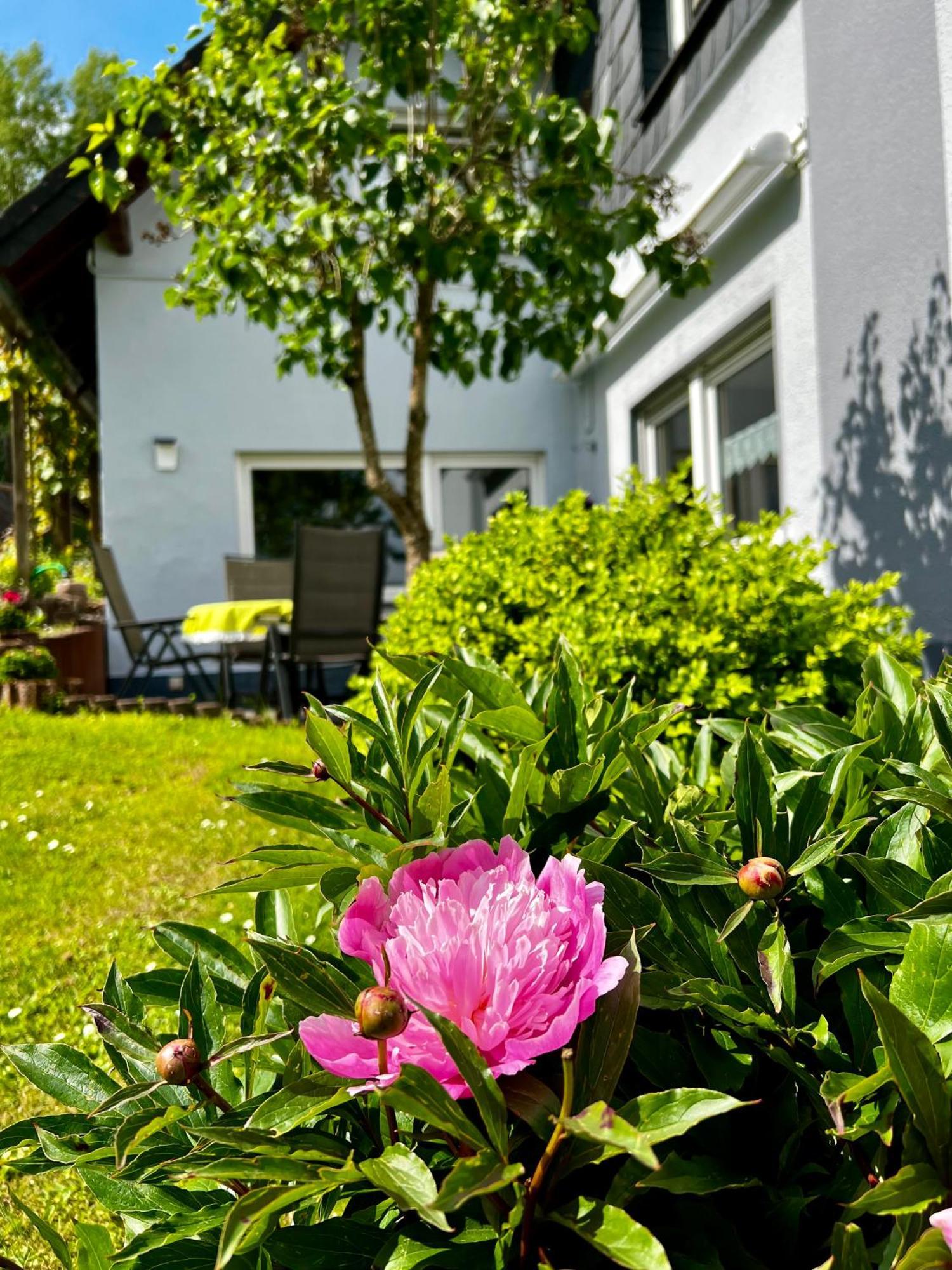 Deine-eifel-ferienwohnung *